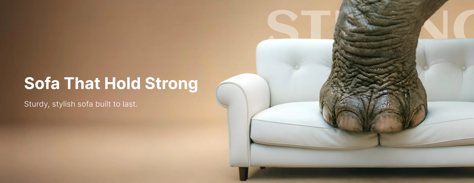 Furniture Store